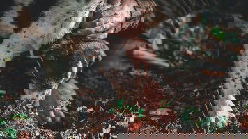 11 Day Essence of France (Collette)