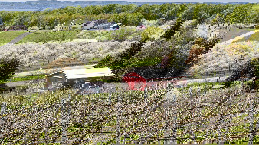 Mackinac Island (Tulip Time Festival)