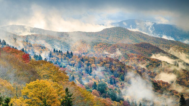 Bluegrass Country & Smoky Mountains