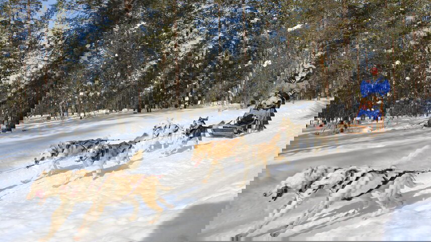 The Northern Lights of Finland