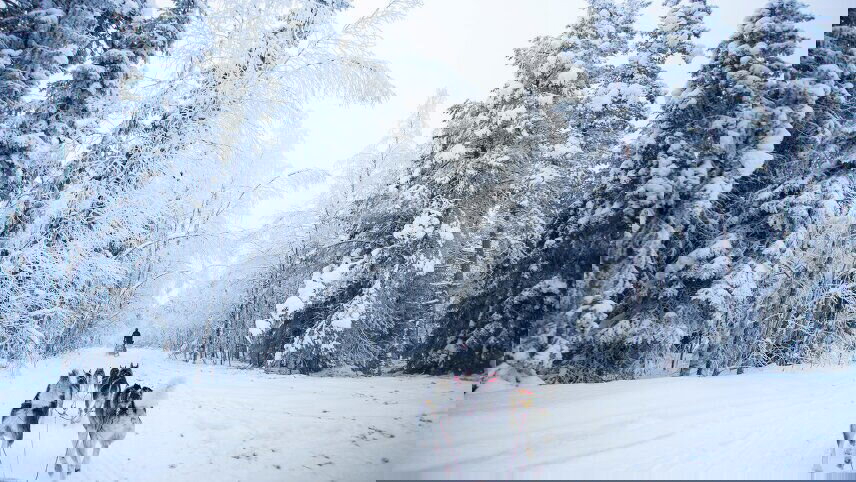 The Northern Lights of Finland