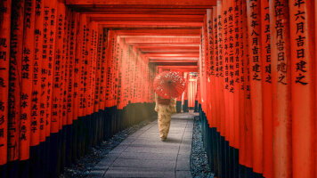 13 Day Cultural Treasures of Japan (Collette)