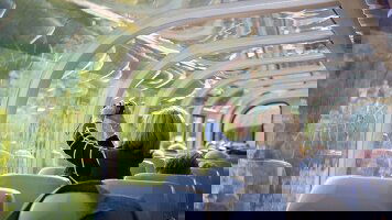 8 Day Canadian Rockies featuring Rocky Mountaineer (Collette)