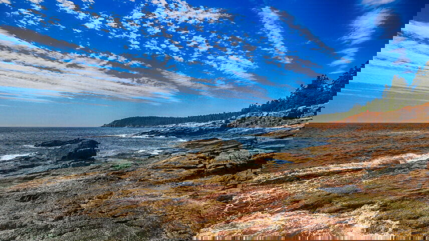 Roaming Coastal Maine