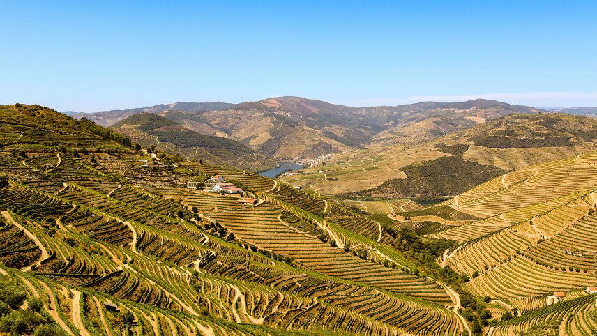 Flavors of Portugal & Spain: Featuring Douro & Rioja Wine Regions