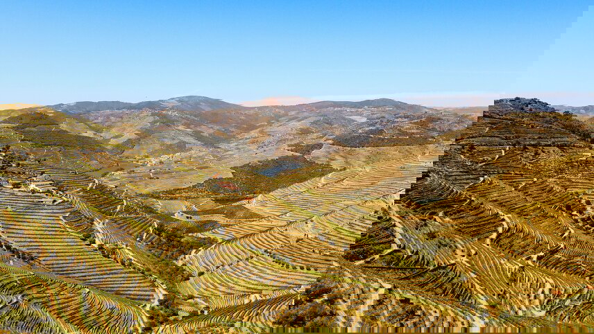 Flavors of Portugal & Spain: Featuring Douro & Rioja Wine Regions