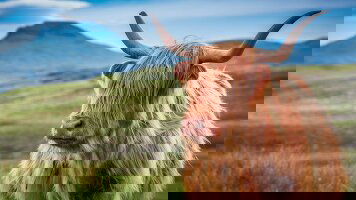 10 Day Scotland: Land of Lore & Legend (Collette)