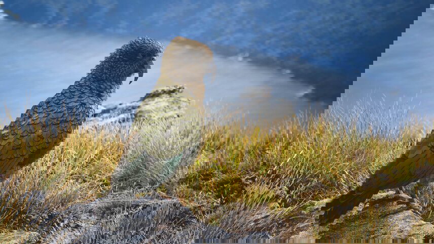 Exploring New Zealand's Wonders