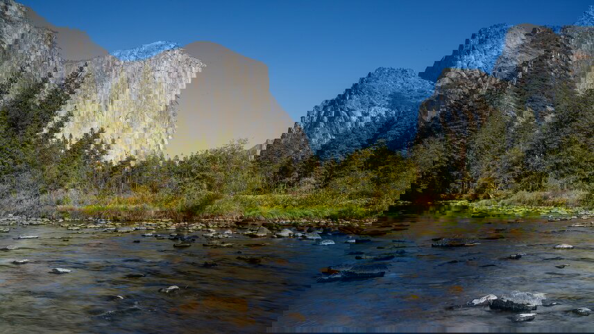 California Dreamin: Monterey, Yosemite and Napa