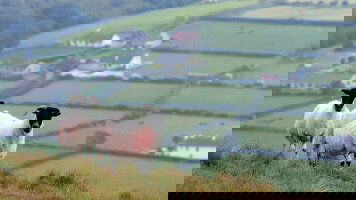 12 Day Shades of Ireland featuring Northern Ireland (Collette)