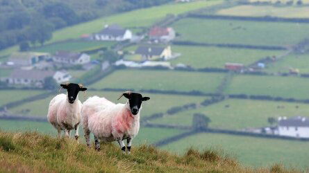 12 Day Shades of Ireland featuring Northern Ireland (Collette)