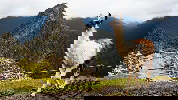 10 Day Peru: Machu Picchu and Lake Titicaca (Collette)