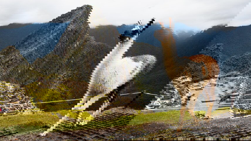 Peru: Machu Picchu and Lake Titicaca