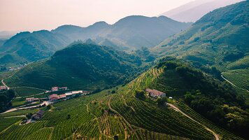 8 Day Spotlight on Northern Italy  (Collette)