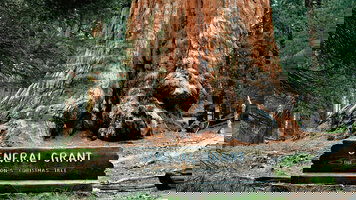 10 Day Sequoia and Kings Canyon National Parks (Collette)