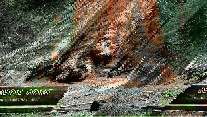 Sequoia and Kings Canyon National Parks