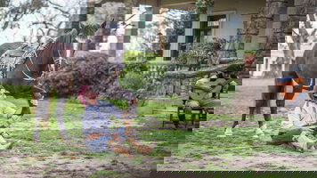 9 Day Essential South America (Collette)