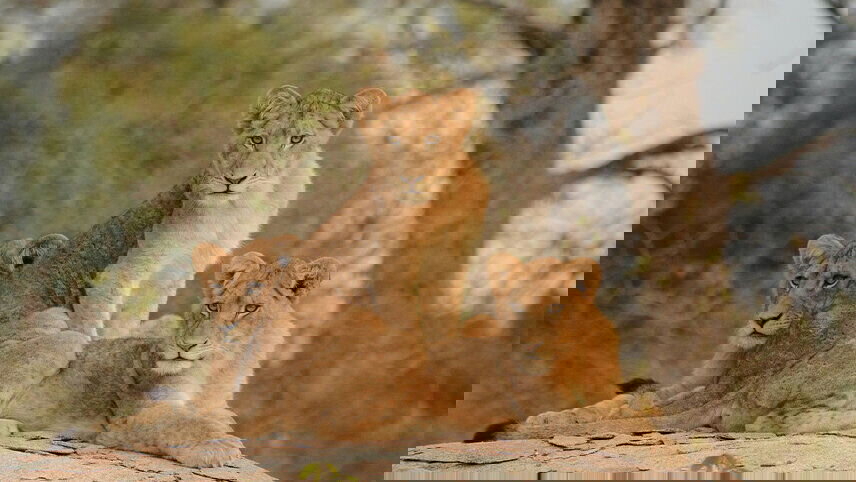 Namibia and South Africa