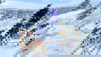 10 Day Aurora Adventure: Winter in the Canadian Rockies & The Yukon (Collette)