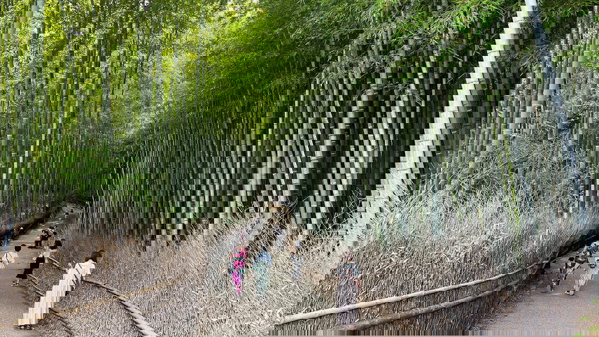 Journey Through the Heart of Japan: Tokyo to Osaka