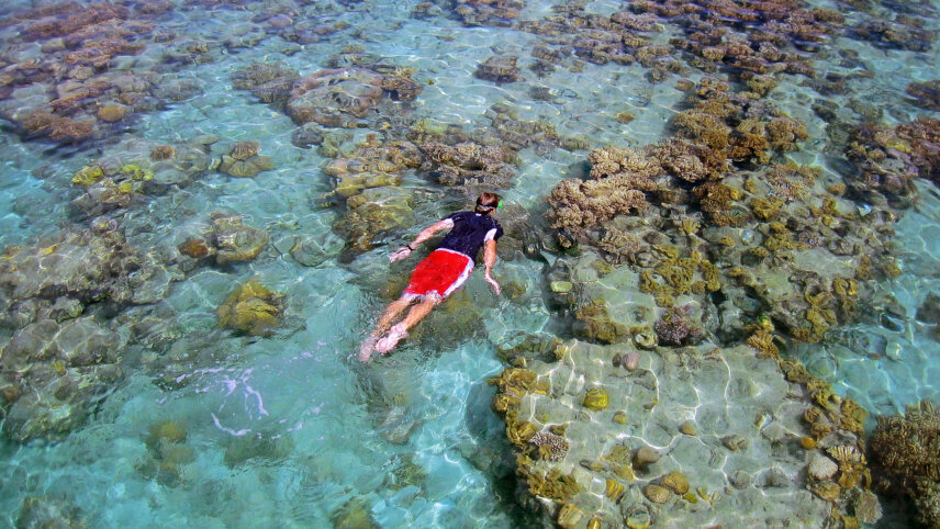 South Pacific Wonders including New Zealand's North Island
