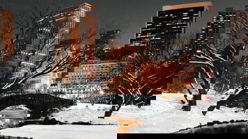 5 Day Spotlight on New York City Holiday (Collette)