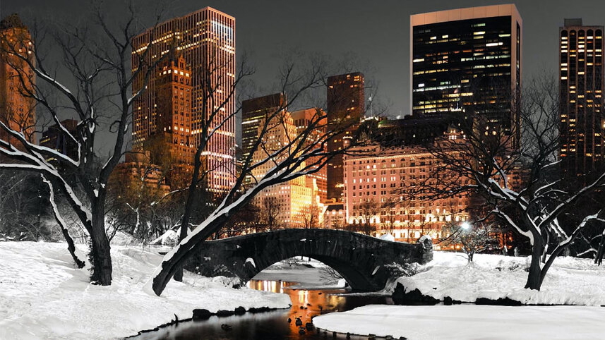 Spotlight on New York City Holiday