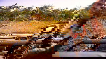 7 Day Kruger Safari with Eswatini (Contiki)