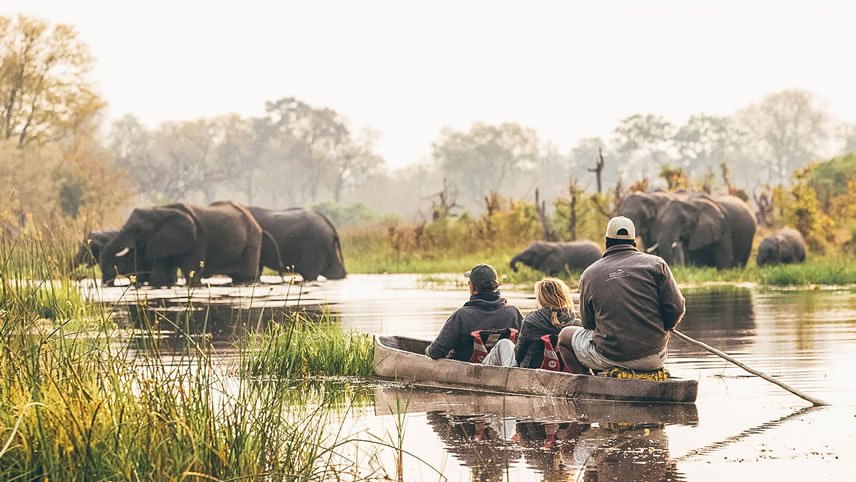Eco Farm and Wilderness Retreat in the Okavango Delta