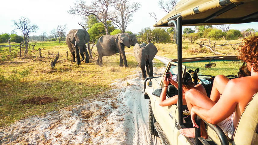 Explore Africa with Contiki