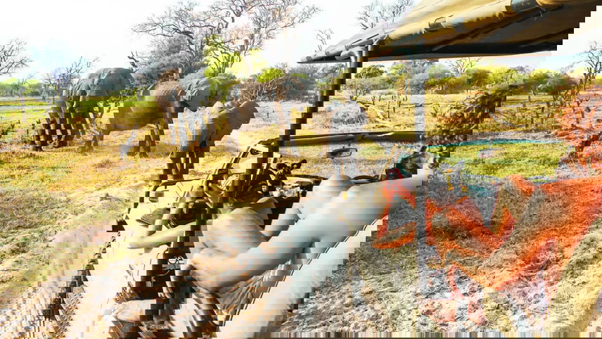 Victoria Falls and Botswana