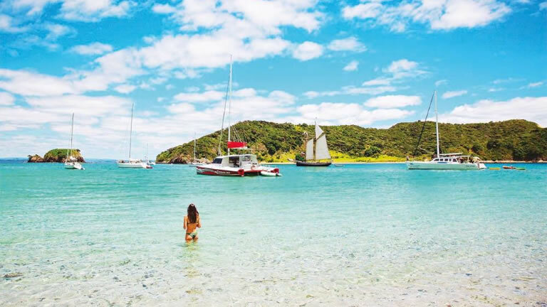 New Zealand: Sun & Steam