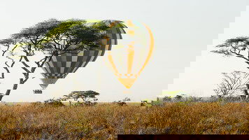 11 Day Kenya and Tanzania Adventure (Contiki)