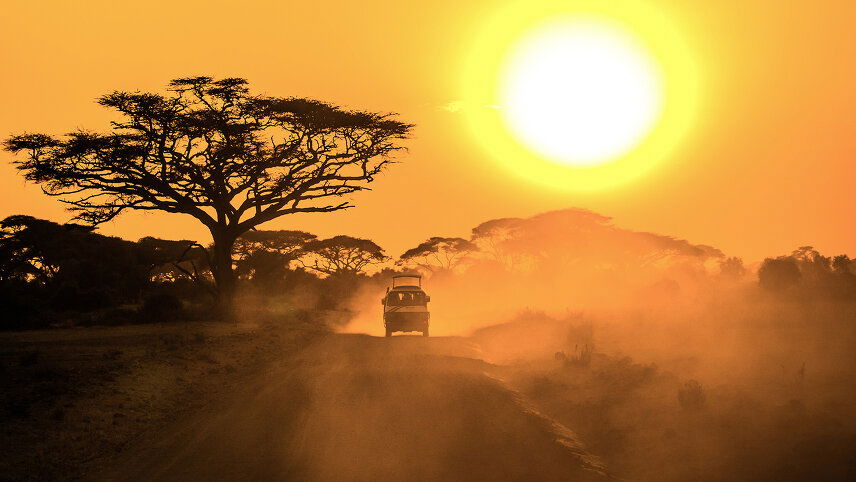 Kenya and Tanzania Safari