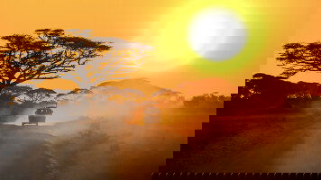 11 Day Kenya and Tanzania Safari (Contiki)