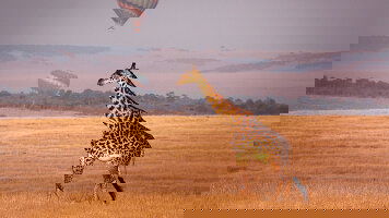 6 Day Kenya Adventure (Contiki)