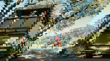 15 Day Cape to Delta Safari (Contiki)