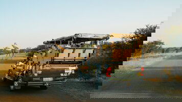 21 Day Southern Africa Safari (Contiki)