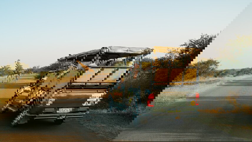 Southern Africa Safari