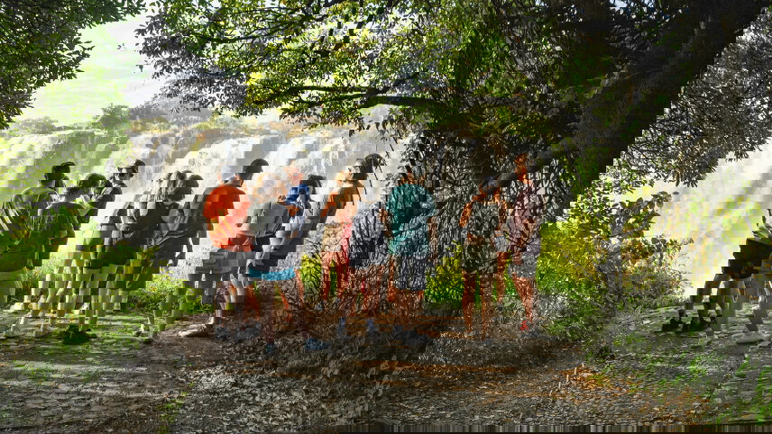 Southern Africa Safari