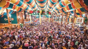 8 Day Oktoberfest (Road Trip to Oktoberfest) (Contiki)