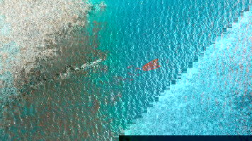 16 Day Australia: Beaches & Reefs (Contiki)