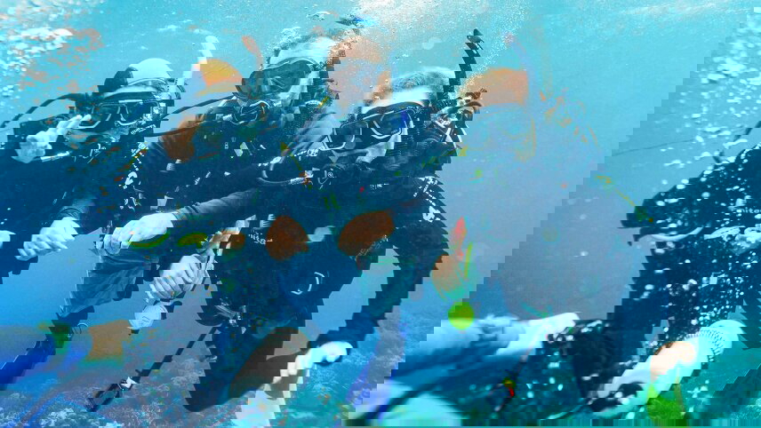 Great Barrier Reef Explorer (Dive to Adventure)