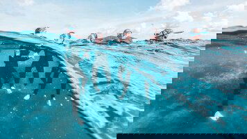 3 Day Great Barrier Reef Explorer (Snorkel to Adventure) (Contiki)