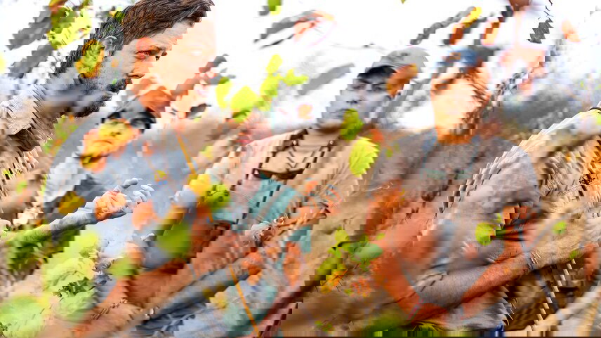 Learn To Be A Safari Guide In Kruger National Park