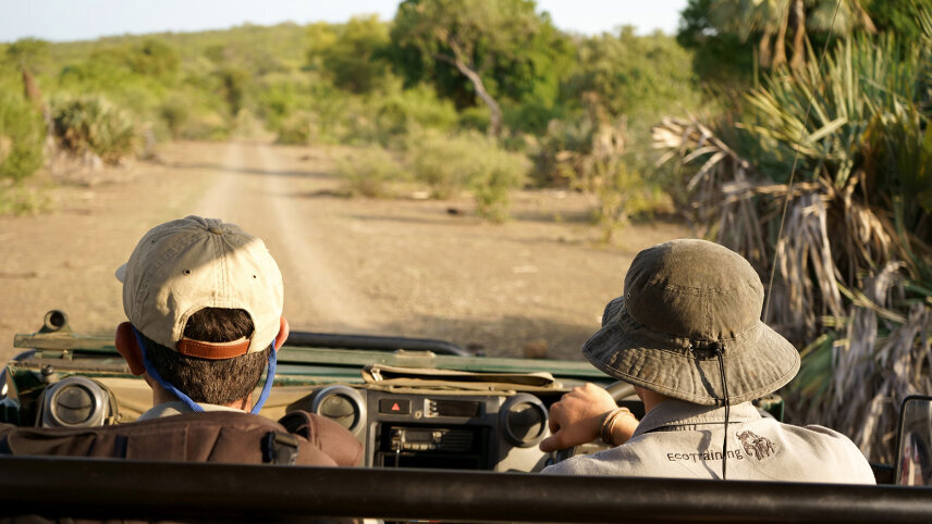 Learn To Be A Safari Guide In Kruger National Park