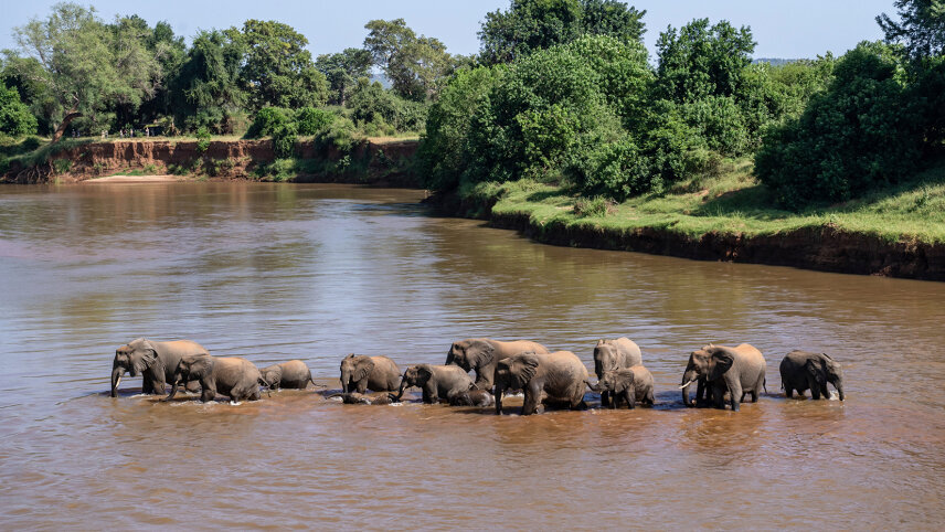 Learn To Be A Safari Guide In Kruger National Park