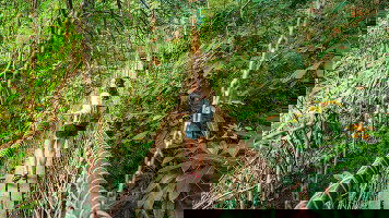 7 Day Ecuador in a Week (Contiki)