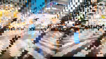 10 Day Japan Winter Wonder (Contiki)