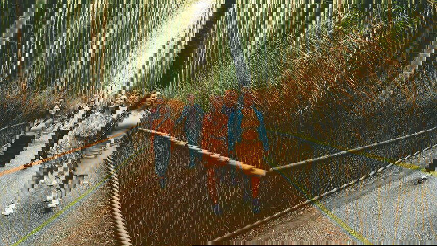 Japan Winter Wonder plus 6 Day Ski